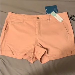 Size 12 Market & Spruce shorts